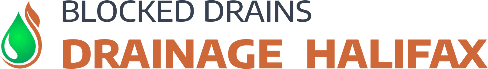 website logo